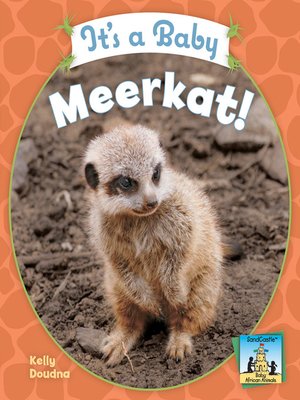 cover image of It's a Baby Meerkat!